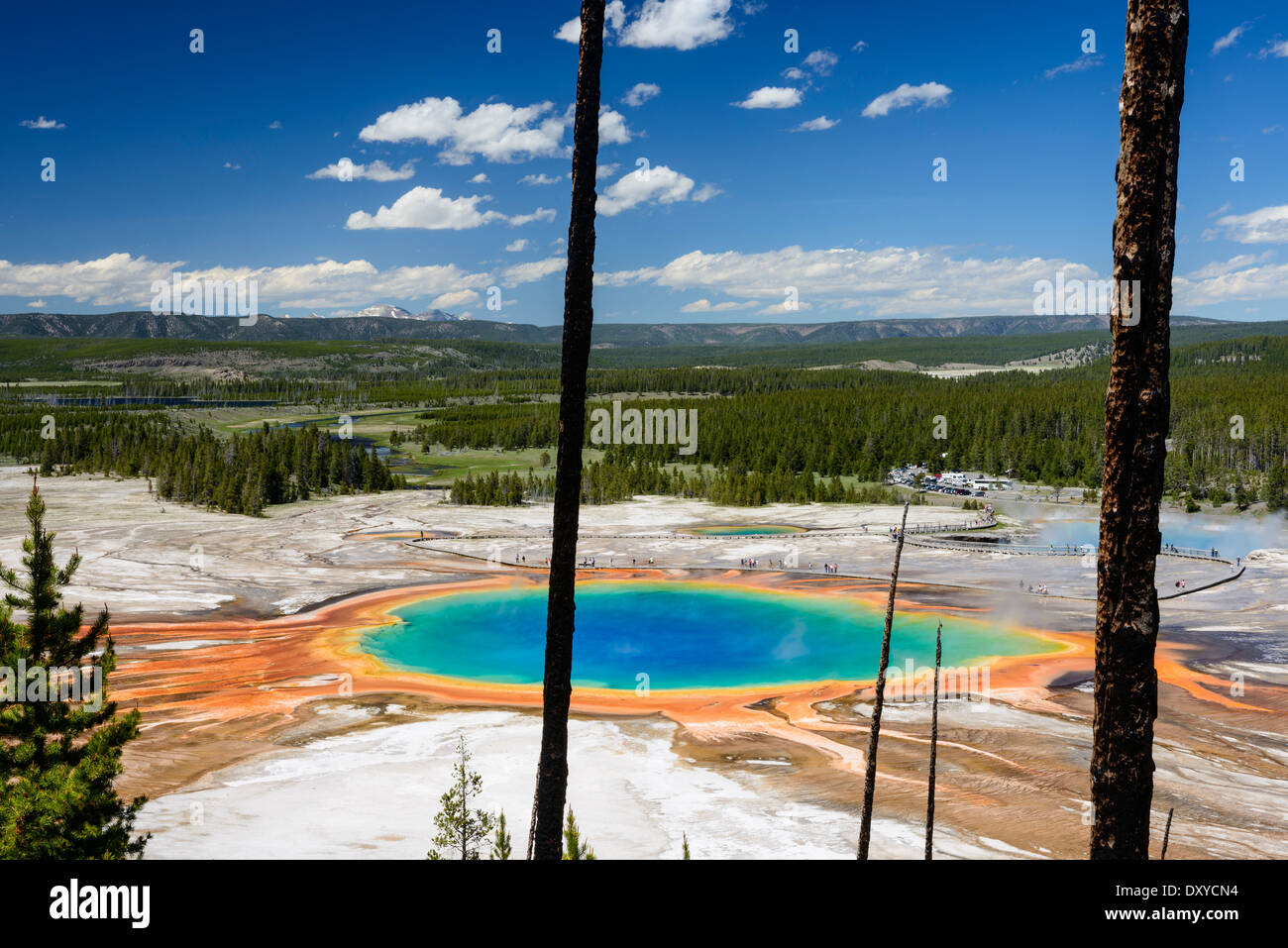 Grand Prismatic Spring as seen from above. Part of the Midway Geyser Basin in Yellowstone National Park. Stock Photo