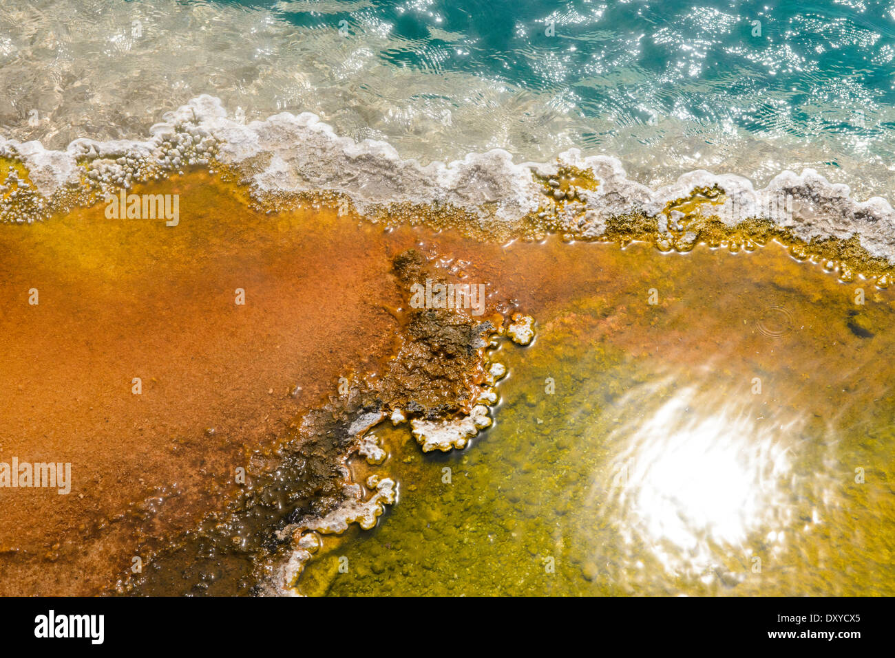 Detail of Black Pool Geyser in the Lower Group of West Thumb Basin. Stock Photo