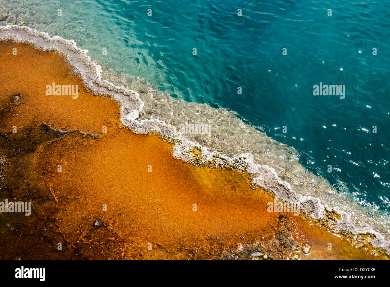 Detail of Black Pool Geyser in the Lower Group of West Thumb Basin. Stock Photo