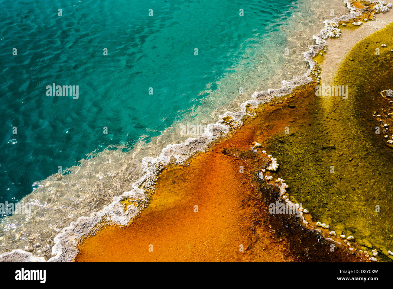 Detail of Black Pool Geyser in the Lower Group of West Thumb Basin. Stock Photo