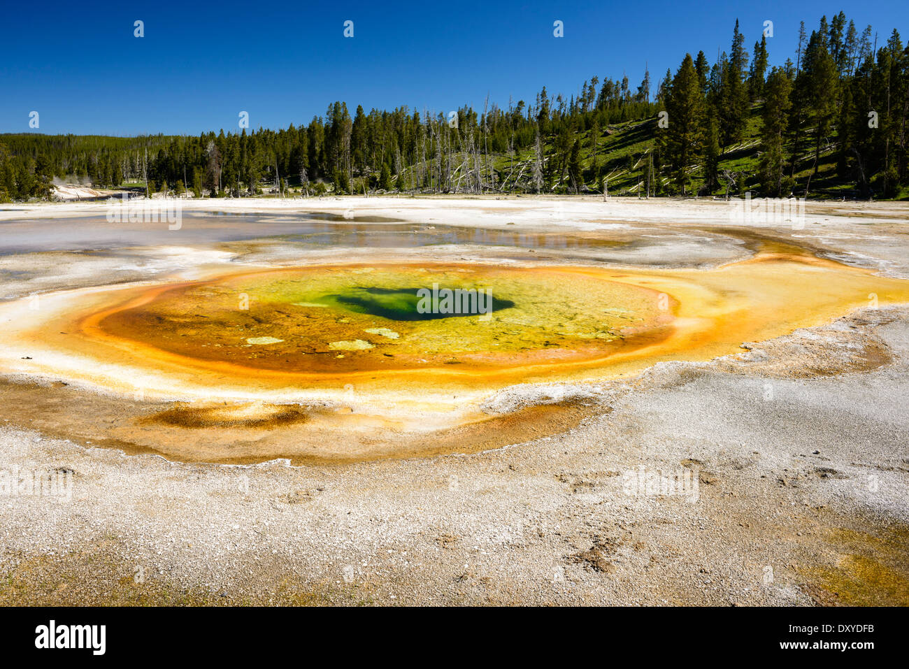 Chromatic Pool in the Upper Geyser Basin, Yellowstone National Park. Stock Photo