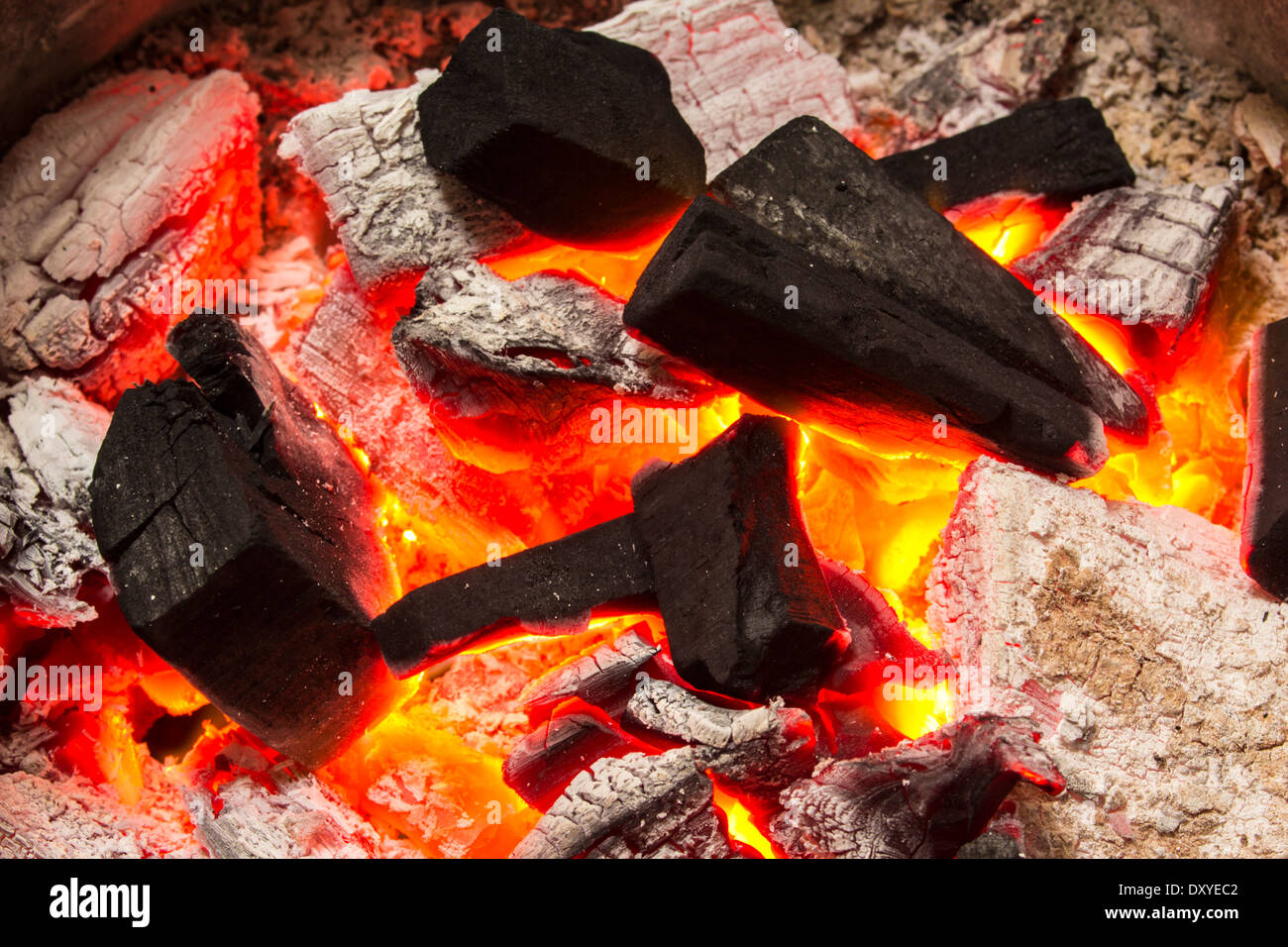 Charcoal burn fire background grill Stock Photo Alamy