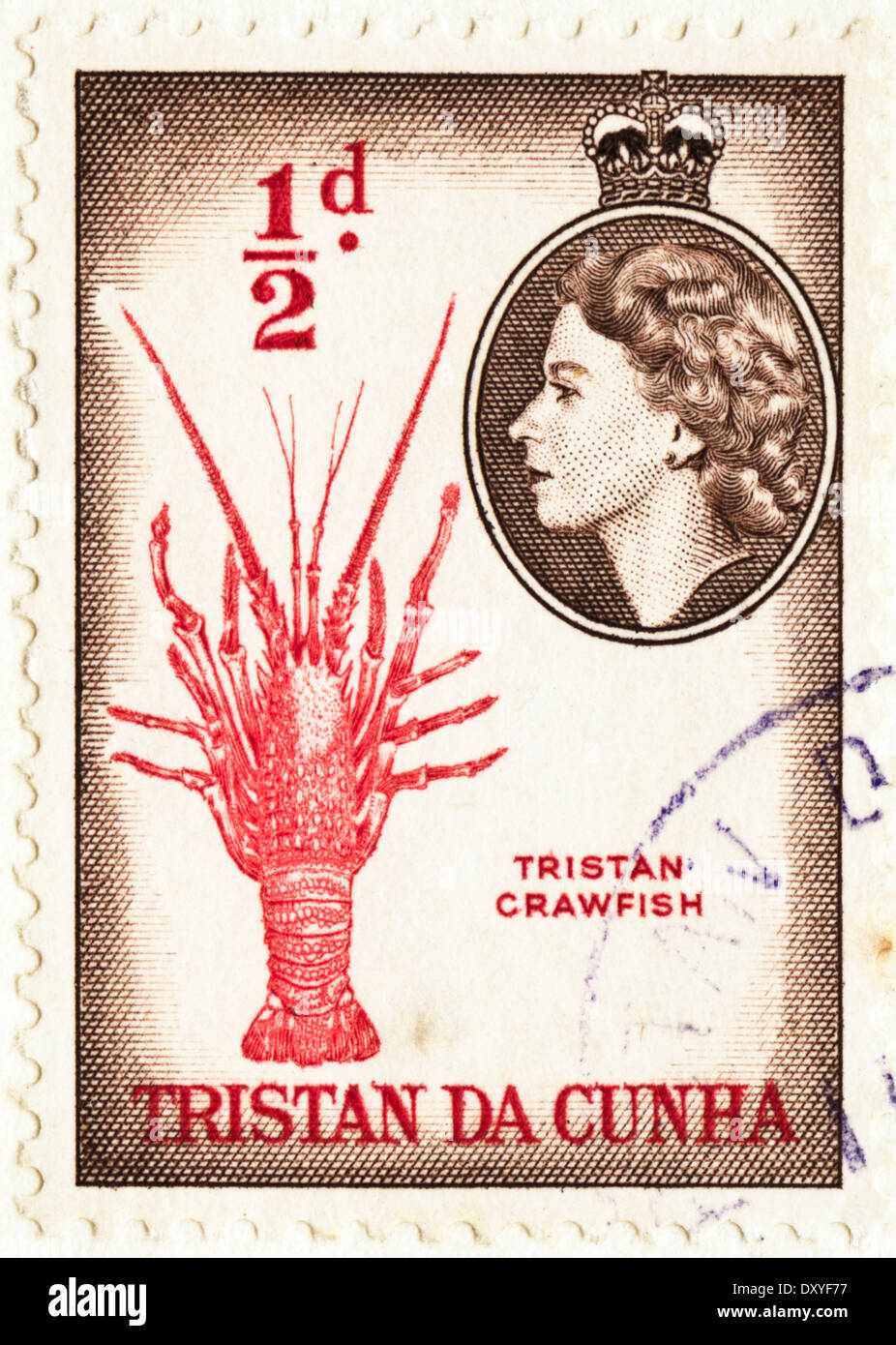 postage stamp ½d Tristan Da Cunha with Queen Elizabeth II featuring Crawfish circa 1956 Stock Photo