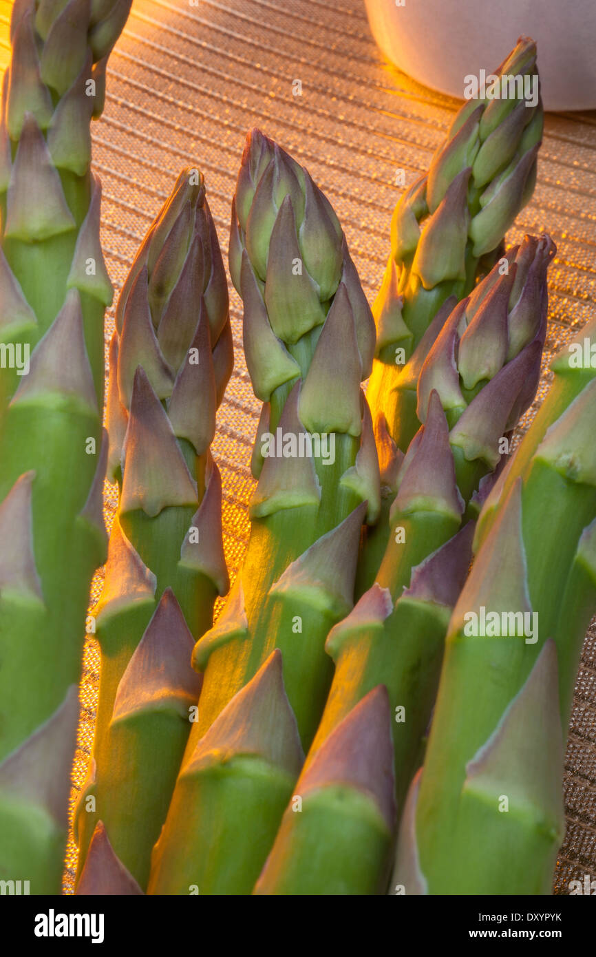 Asparagus vegetable edible shoots food cultivated veg hires stock