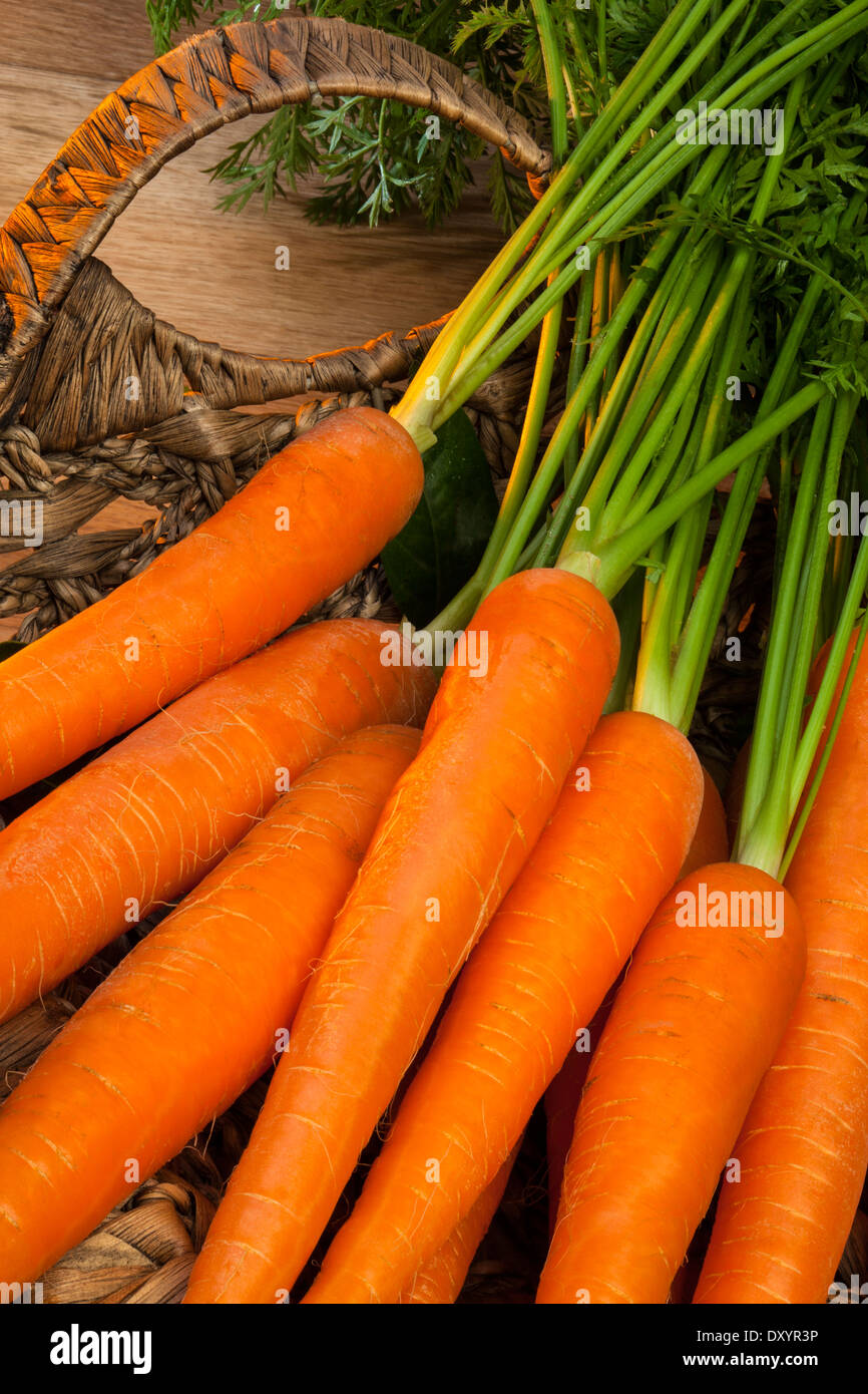 A basket of freshly picked organic carrots Stock Photo