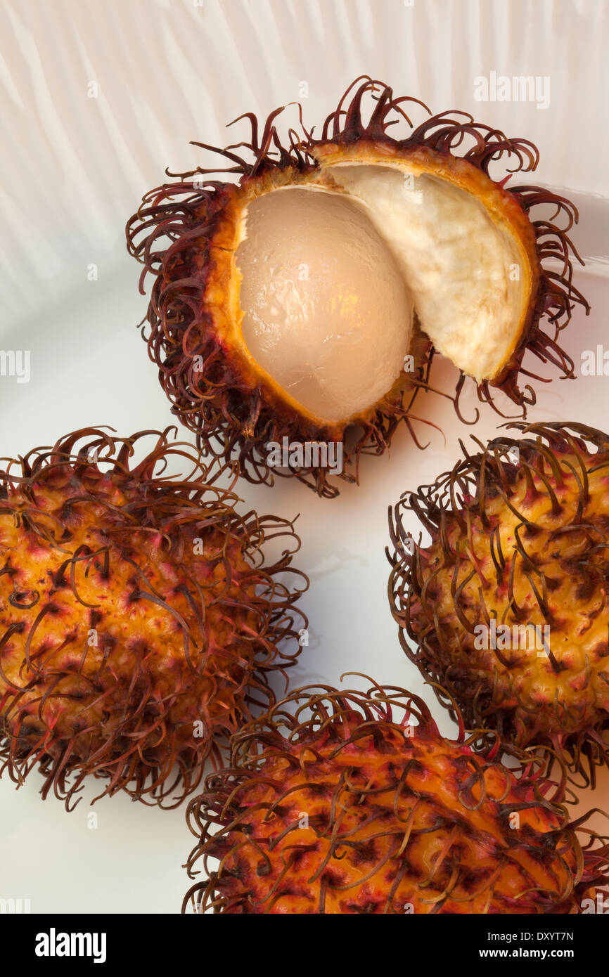 Rambutan red, plumsized tropical fruits with soft spines and a