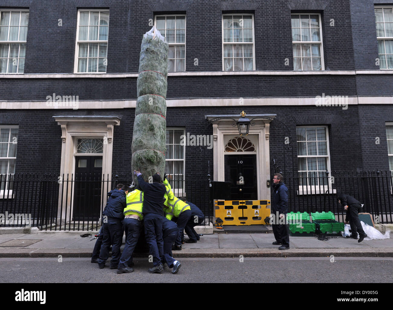 The British Christmas Tree Growers Association erects its winning
