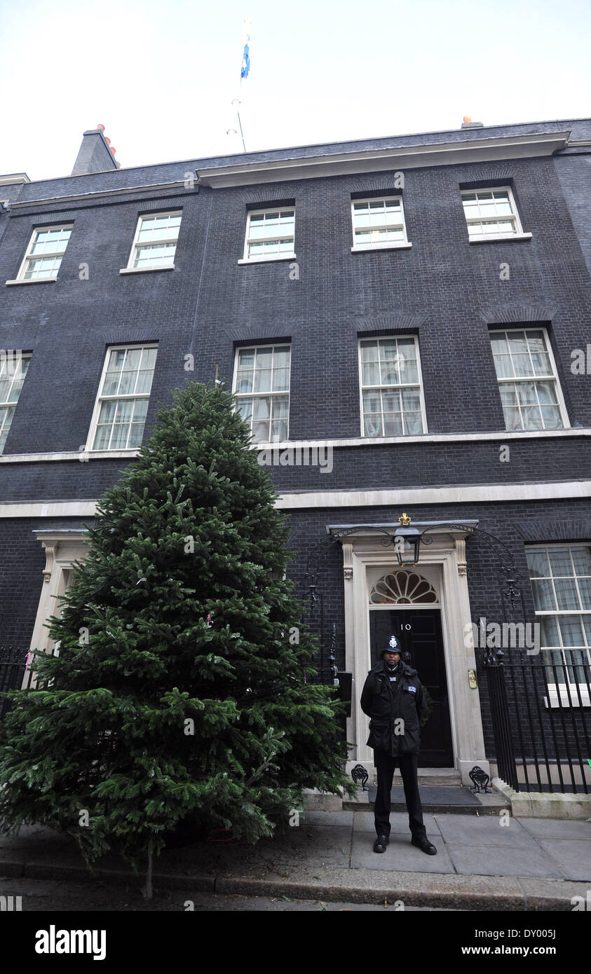 The British Christmas Tree Growers Association erects its winning