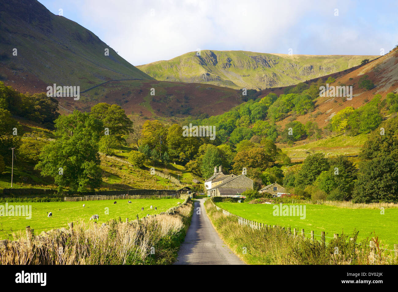 Road looking towards Farm at Glencoyne. Ullswater, Lake District