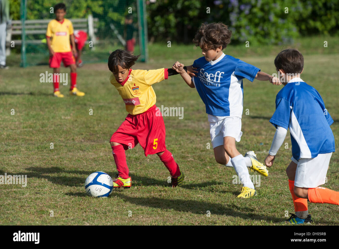 Football players of the U9 youth teams tackling to win the ball, Cape Town, South Africa Stock Photo