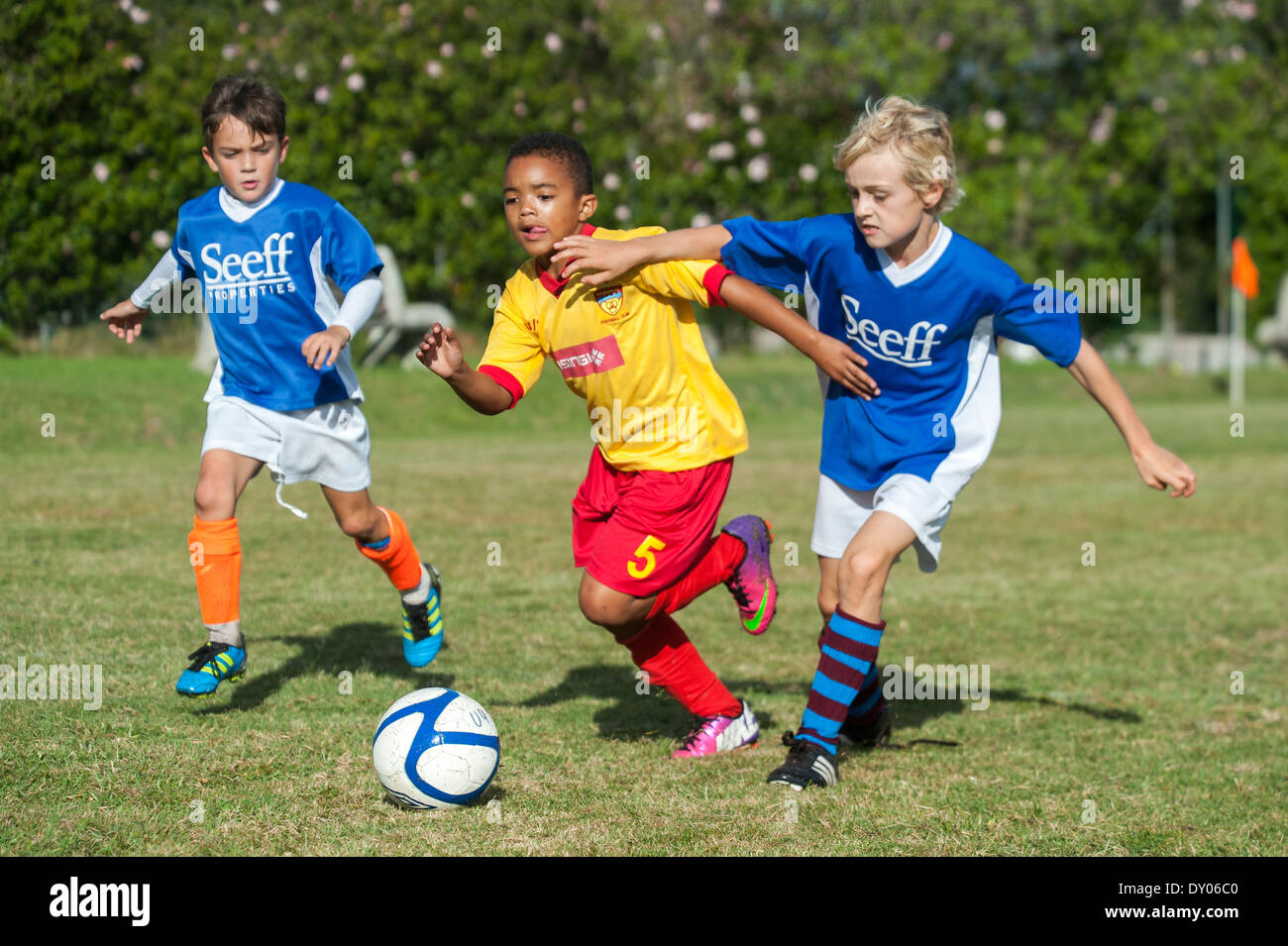 Football players of the U9 youth teams tackling to win the ball, Cape Town, South Africa Stock Photo