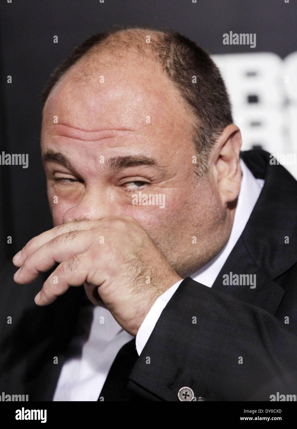 Zero dark thirty 2012 james gandolfini hires stock photography and