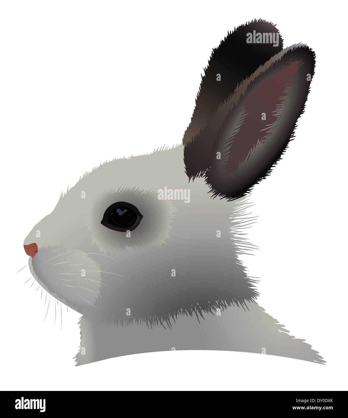 Rabbit head illustration hi-res stock photography and images - Alamy