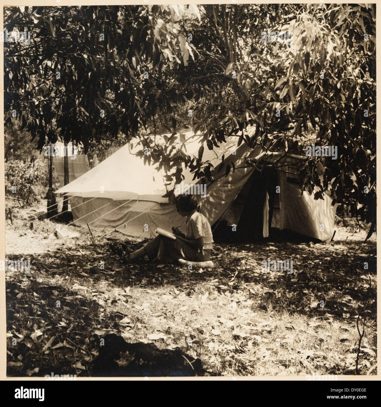 Max dupain hi-res stock photography and images - Alamy Max dupain hi-res stock photography and images - Alamy