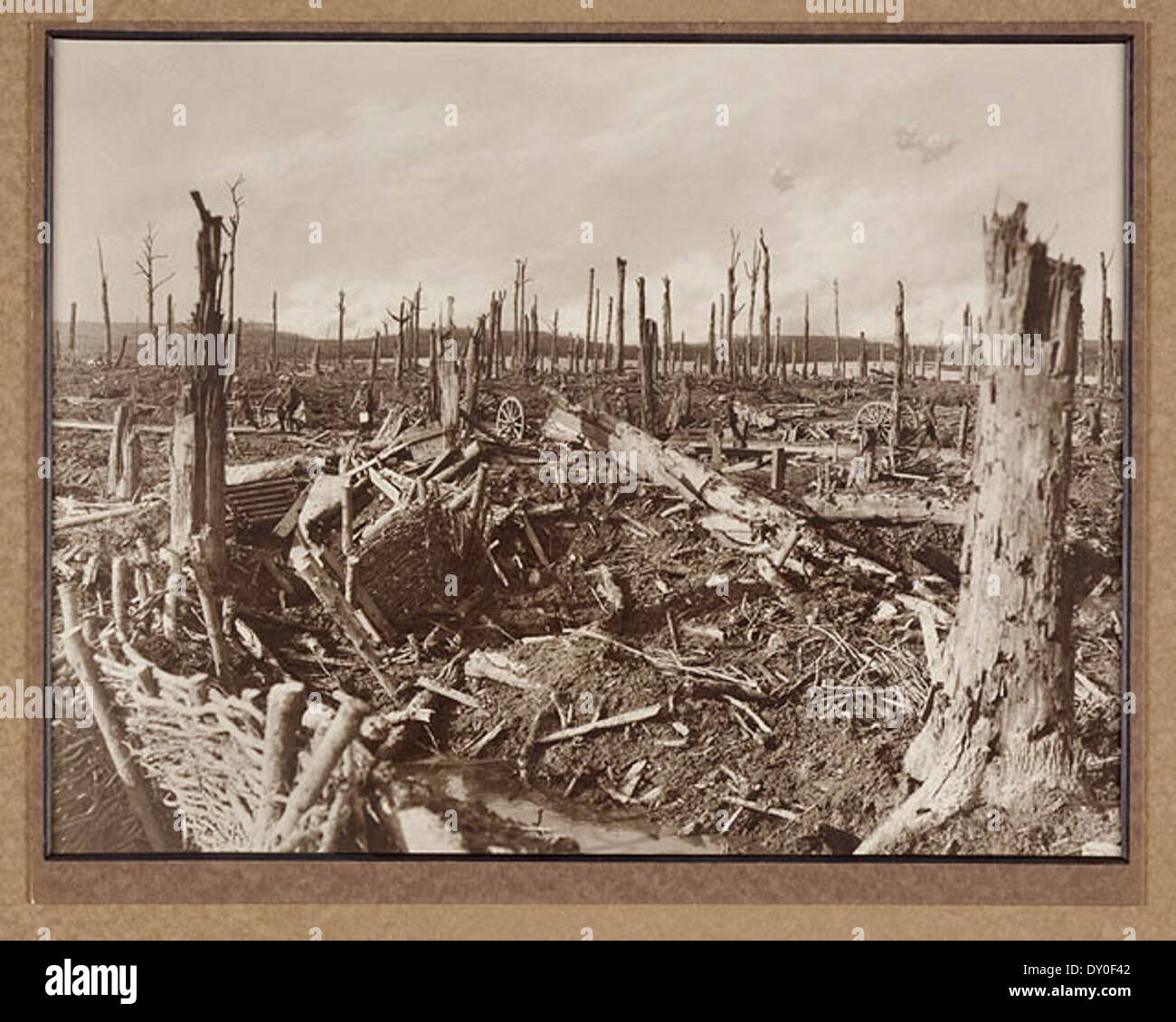 Chateau Wood near Ypres Stock Photo
