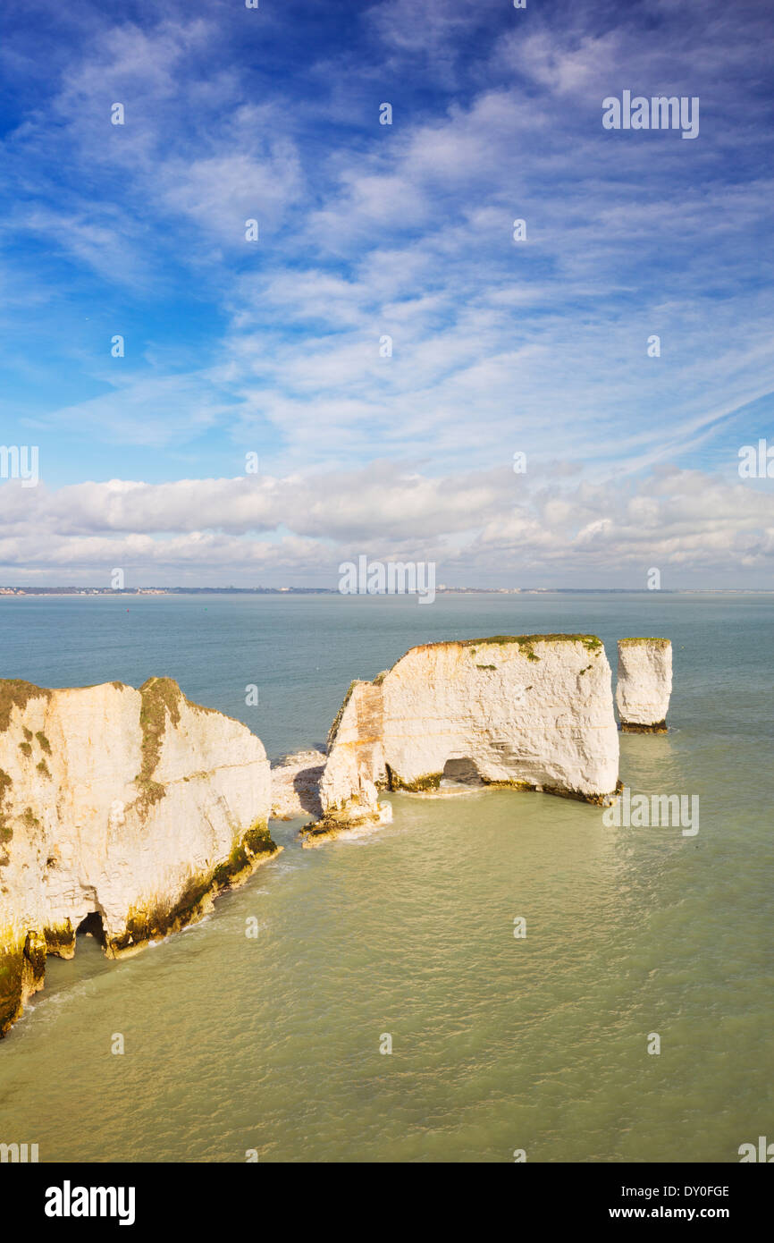 The cliffs and rock stacks of Old Harry Rocks on the Jurassic Coast of ...