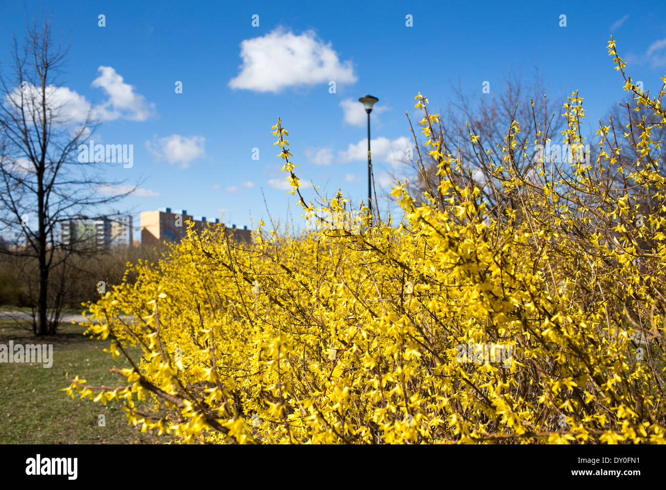 Spring arrived hi-res stock photography and images - Alamy