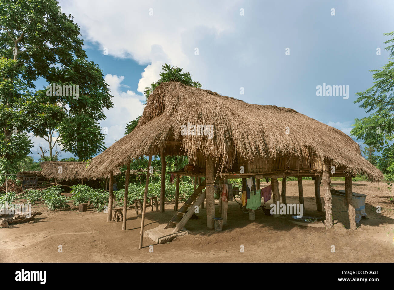 Thatched hut on stilts typical of the Mising (aka Mishing) tribe on a sunny day near Bhalukpong, Assam, In Stock Photo