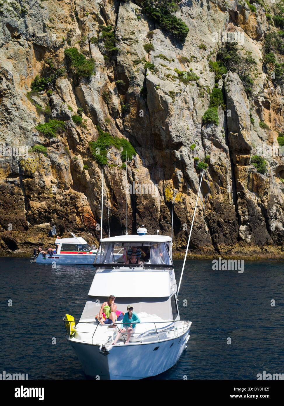 Boaters enjoy a relaxing day at Poor Knights Islands, summer, Northland, New Zealand Stock Photo