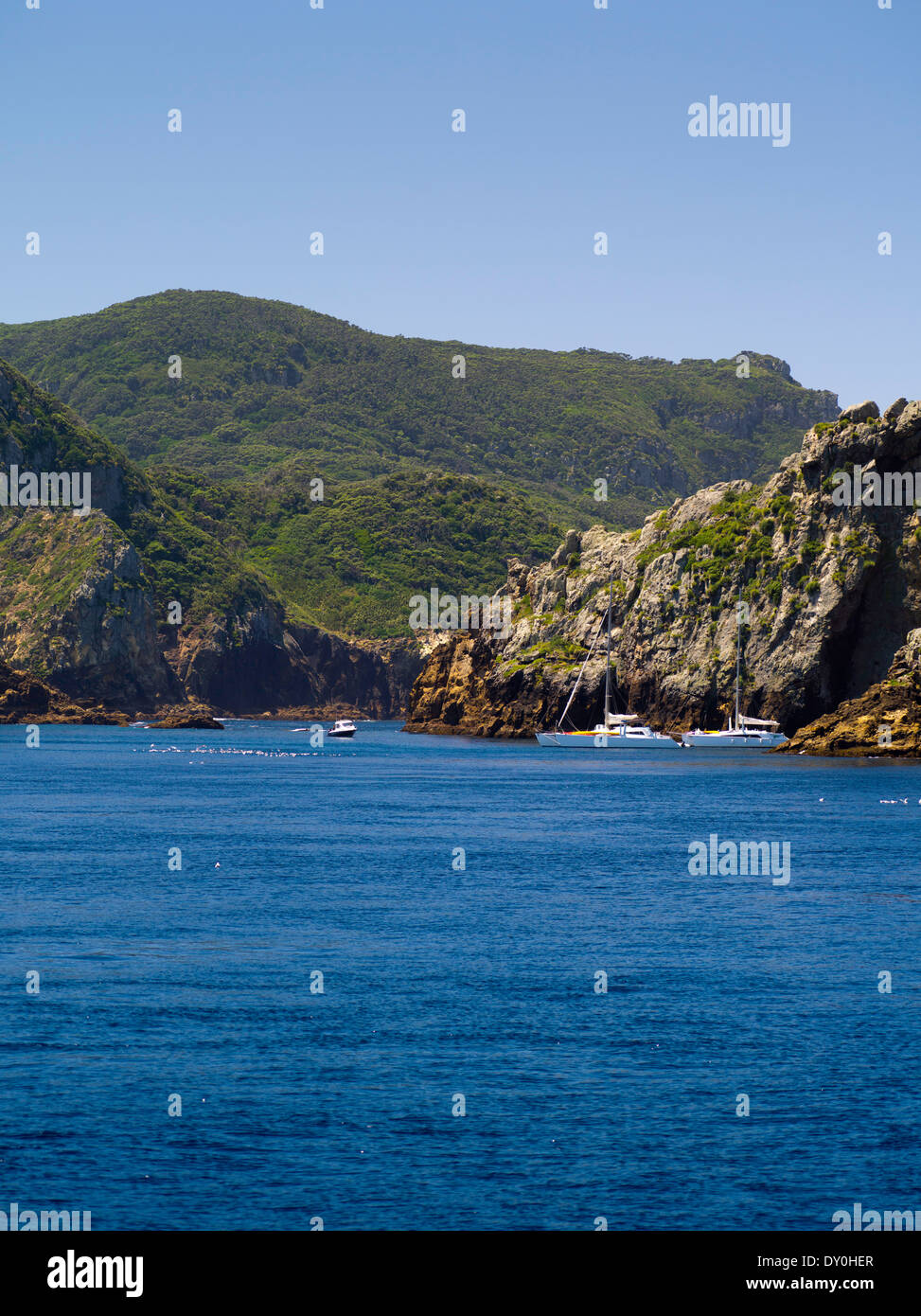 View of Poor Knights Islands, summer, Northland, New Zealand Stock Photo