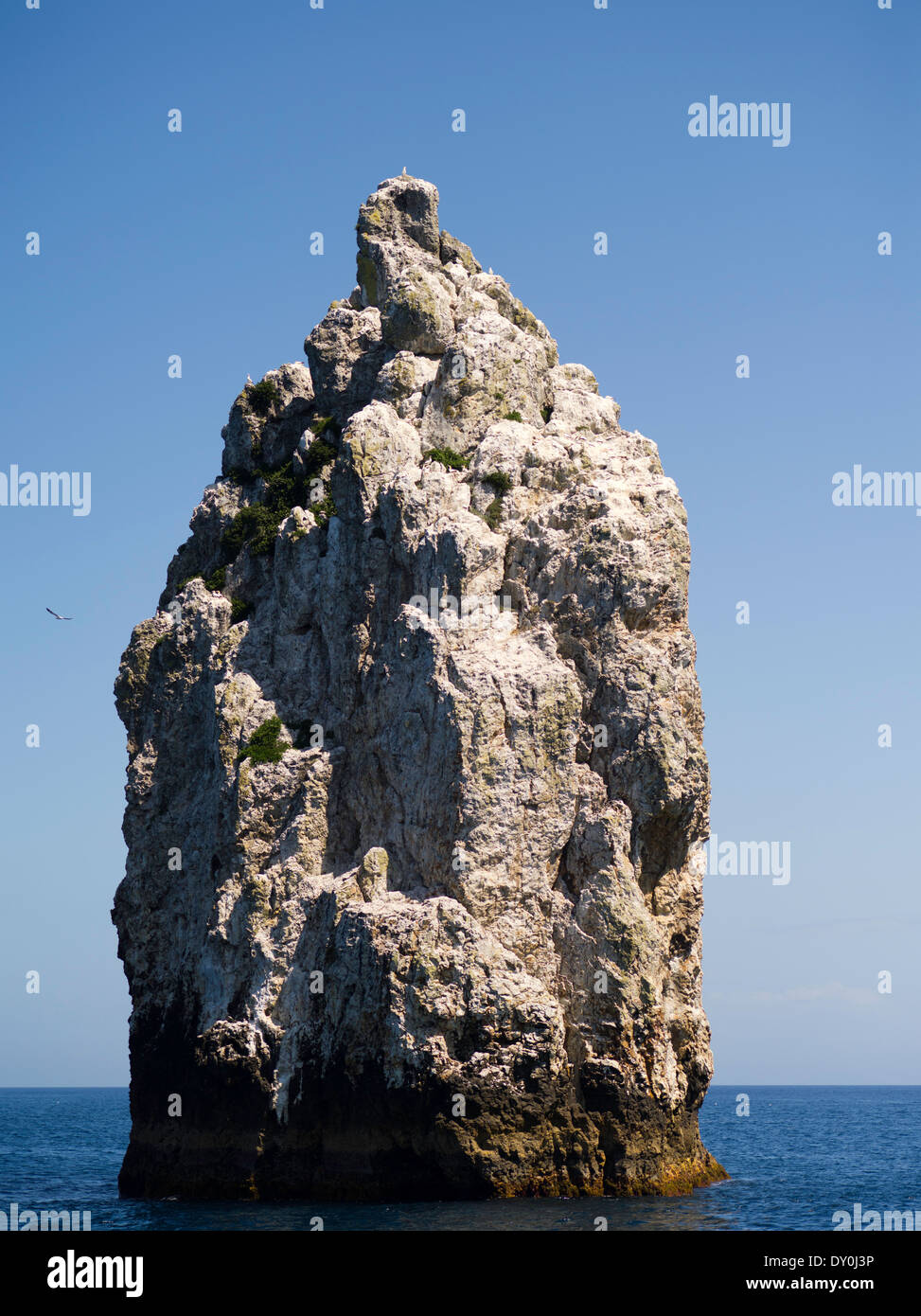 High Peak Rocks. View of Poor Knights Islands, summer, Northland, New Zealand Stock Photo