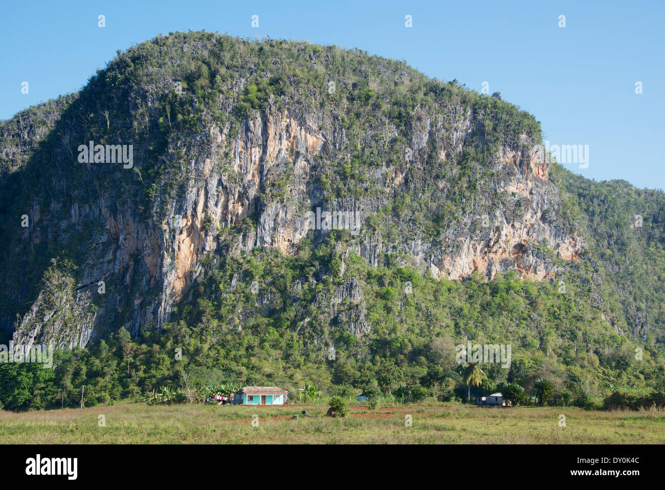 Mogote and small farm house Vinales Valley Cuba Stock Photo