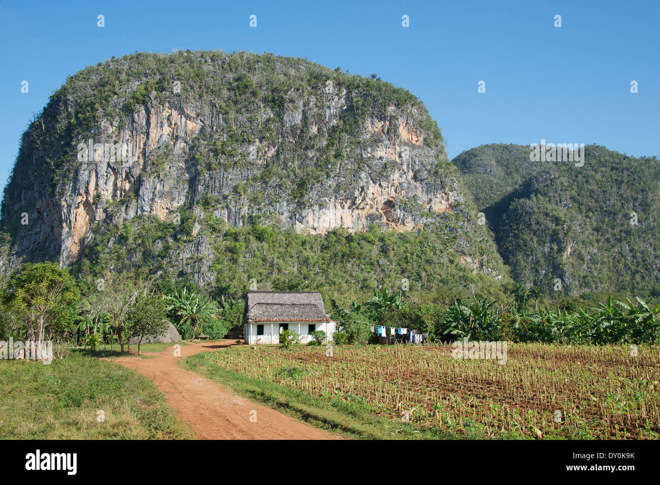 Mogote and small white farm house with tobacco field Vinales Valley Cuba Stock Photo