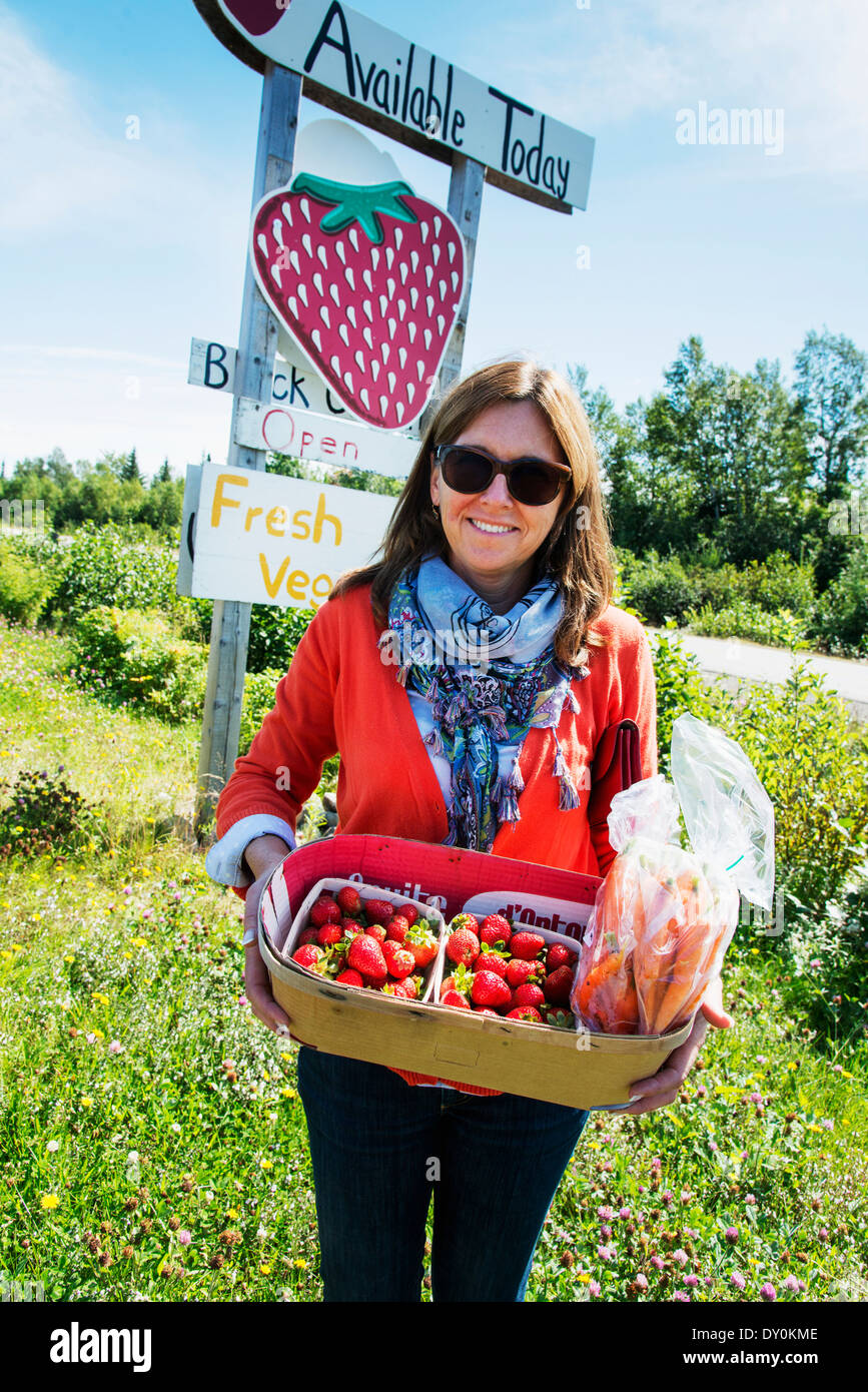 A woman holds a basket full of fresh picked strawberries; Newfoundland and Labrador, Canada Stock Photo