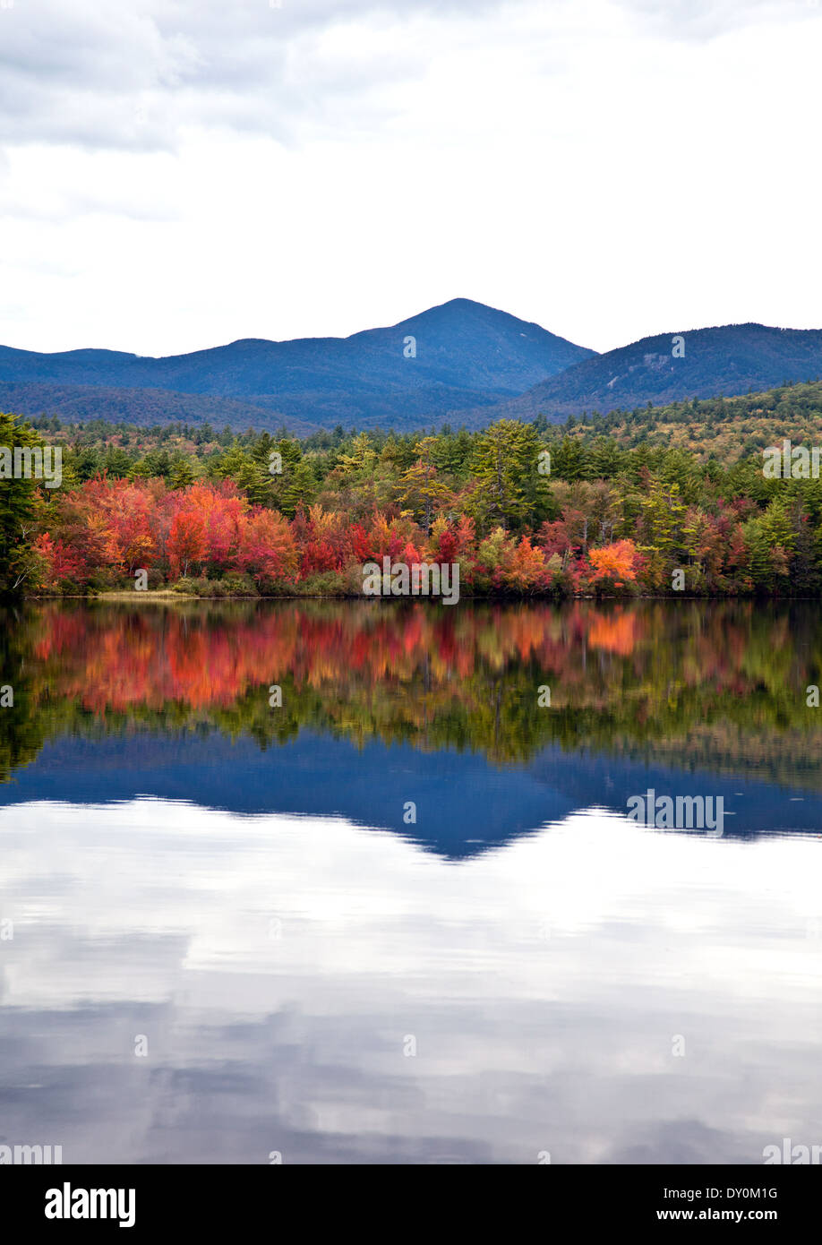 Fall color -- sugar maples -- blaze along on the shores of an unnamed lake, off Highway 113, south of Conway, New Hampshire. Stock Photo