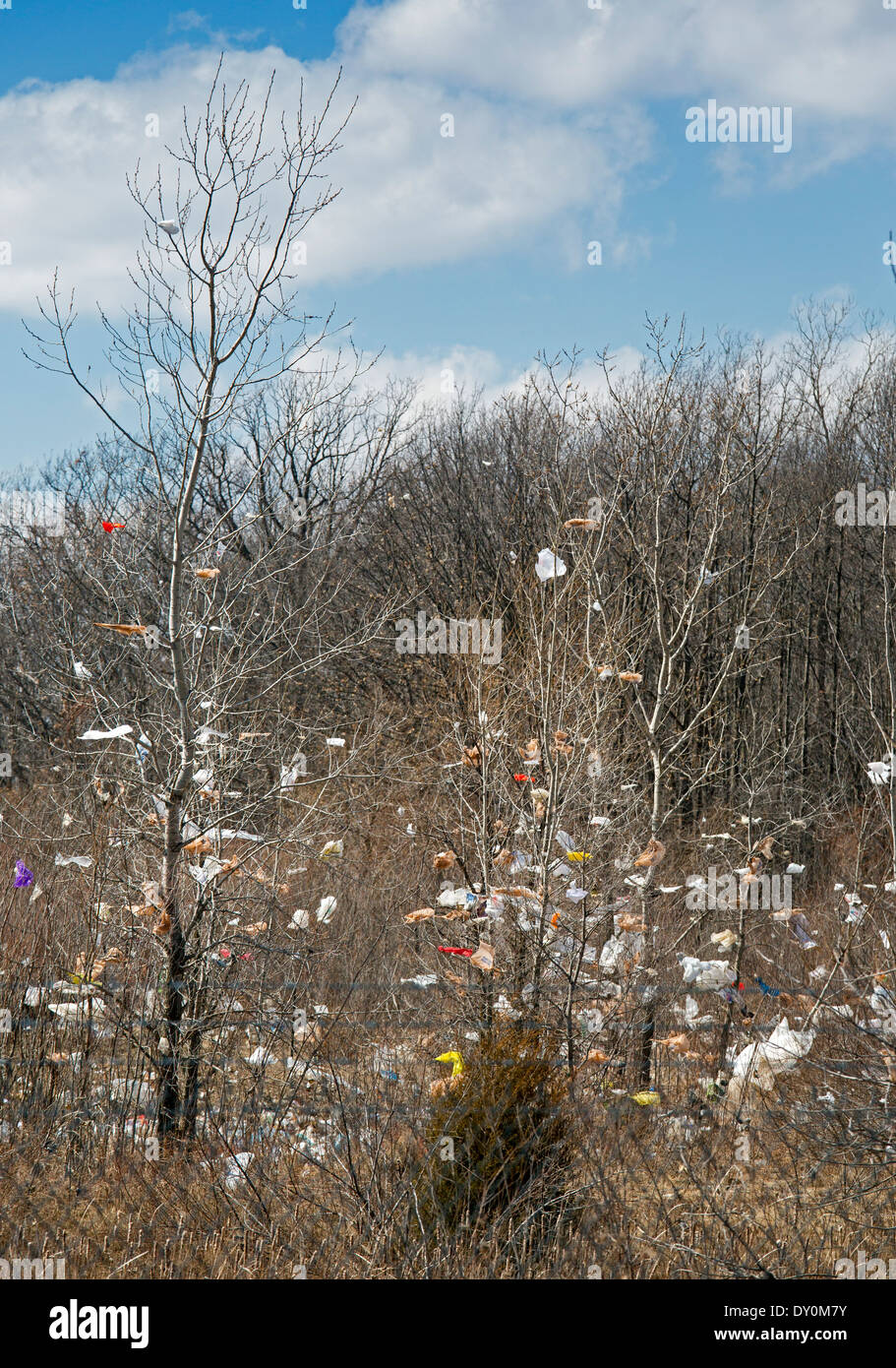 Plastic bags and other debris blown by the wind into trees surrounding Republic Services' Carleton Farms Landfill. Stock Photo