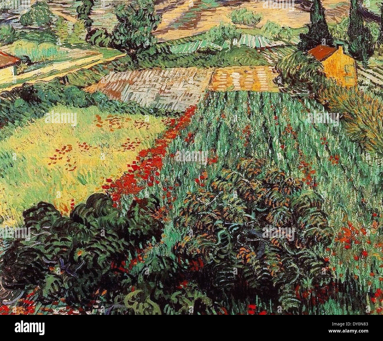 Van gogh mu hotsell
