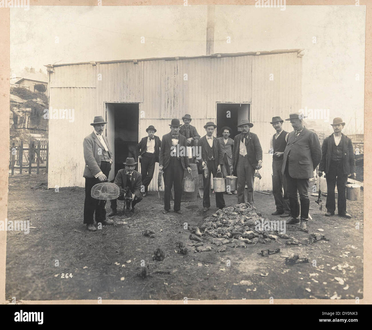 Professional Ratcatchers from Views taken during Cleansing Operations, Quarantine Area, Sydney, 1900, Vol. IV / under the supervision of Mr George McCredie, F.I.A., N.S.W. photographed by John Degotardi Jr. Stock Photo