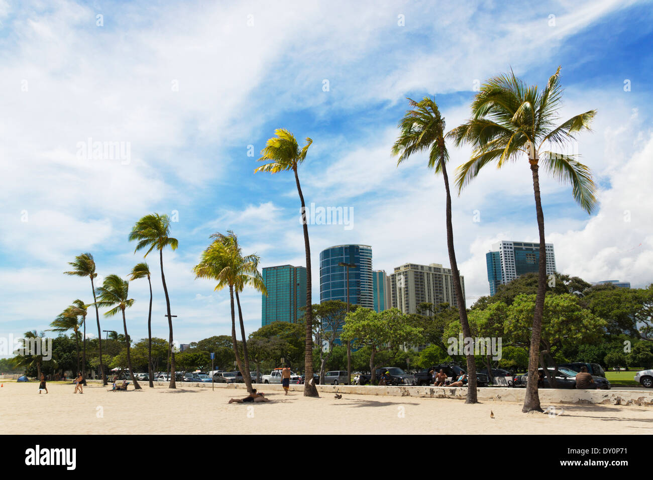 A beach lined with palm trees and buildings in the background; Honolulu, Oahu, Hawaii, United States of America Stock Photo
