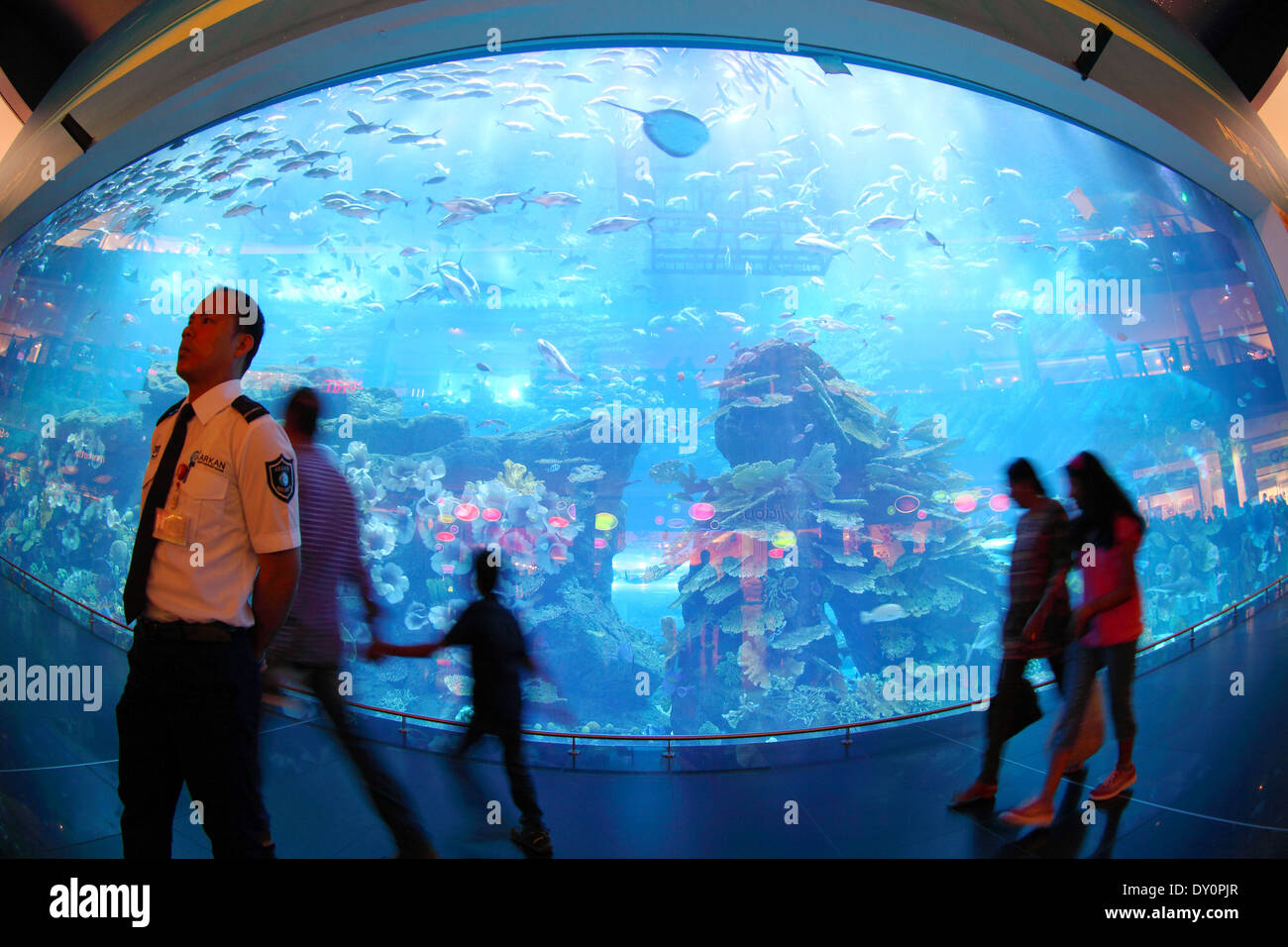 Downtown Dubai,  Dubai mall, aquarium, underwater Zoo, Dubai Stock Photo