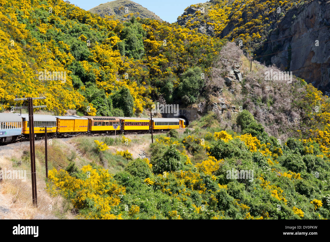 Taieri Gorge tourist railway train runs into a tunnel on its journey up the valley, New Zealand Stock Photo