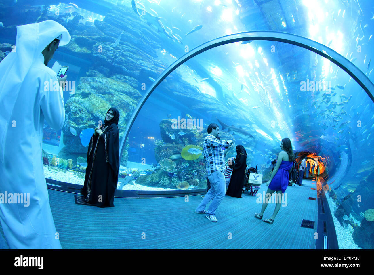 Downtown Dubai, Dubai mall, aquarium, underwater Zoo, Dubai Stock Photo