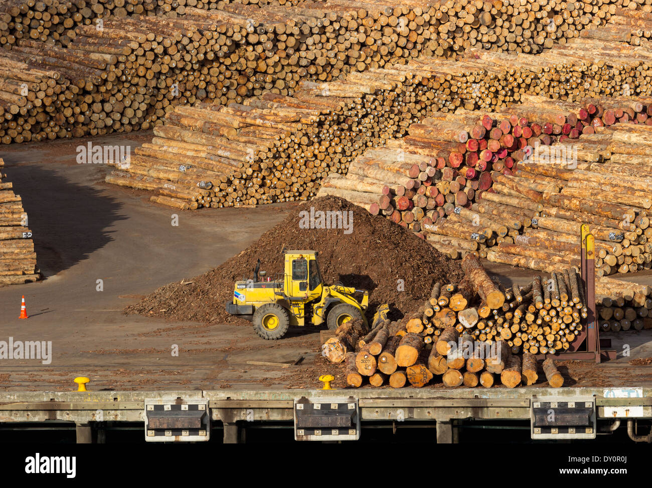 Lumber, timber wood, for export on the wharf Stock Photo