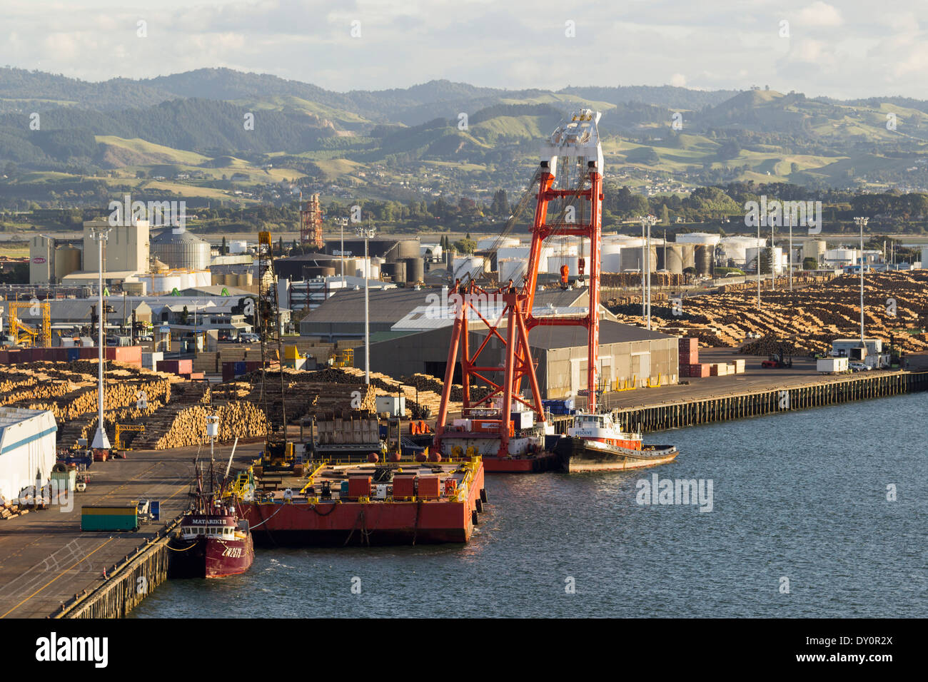 Tauranga, New Zealand - port area with timber for export stacked on the wharf at dusk Stock Photo