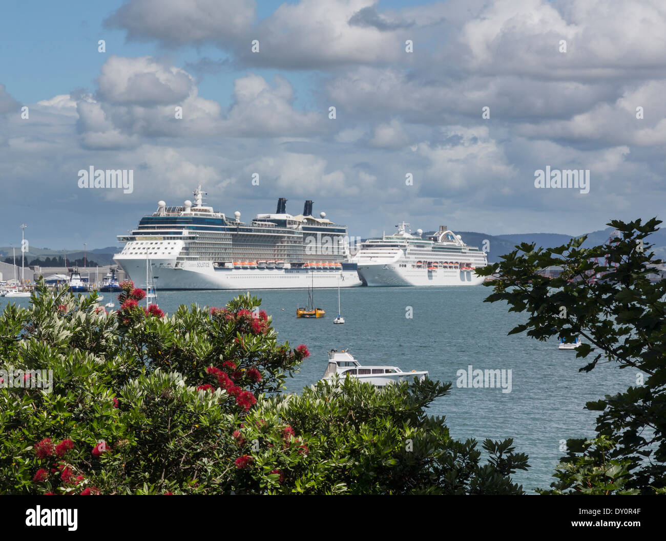 Cruise ships in the Bay of Plenty at Tauranga, New Zealand Stock Photo