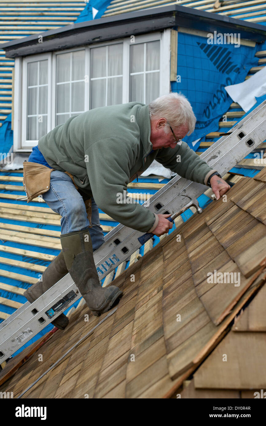 House renovations - A roofer replacing a cedar shingle roof; cedar is a thermally efficient, ecologically friendly material. Stock Photo