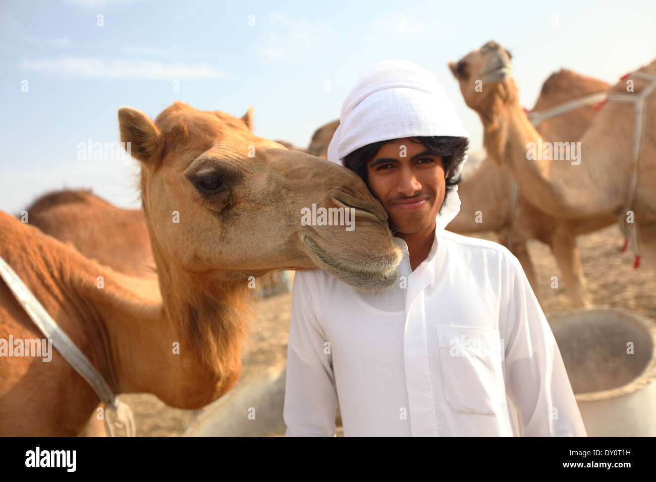 Al Wathba Camel racing, track, camels, desert, Abu Dhabi, United Arab Emirates Stock Photo