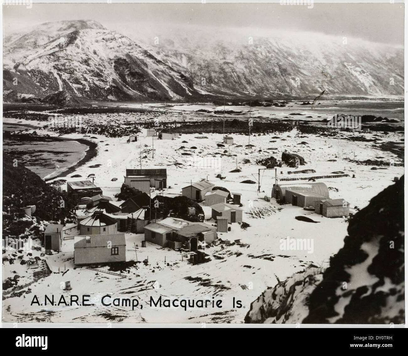 Macquarie Island, 1955. The main camp at Buckles Bay. Looking south