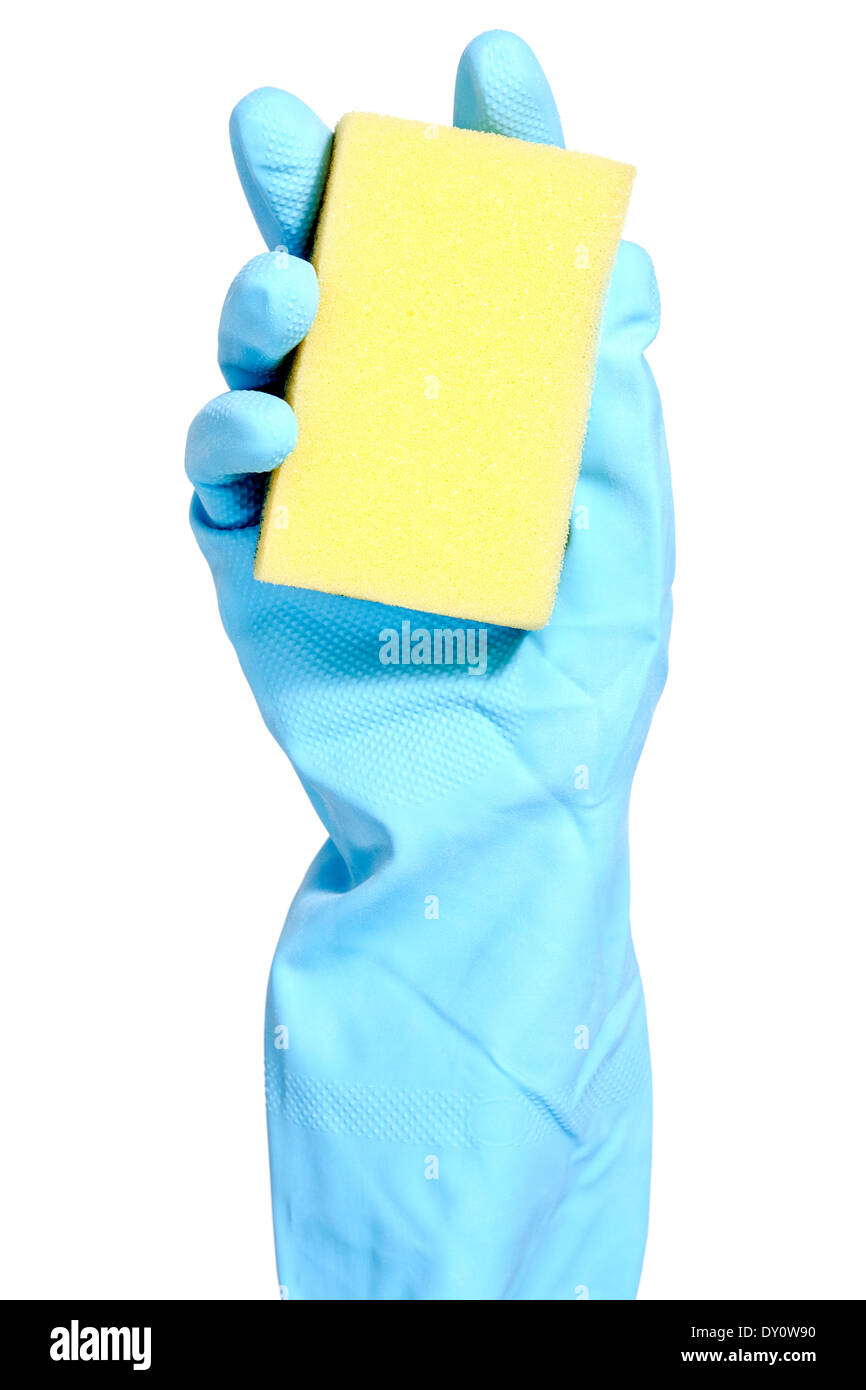 Hand in blue glove with sponge isolated on white background Stock Photo ...
