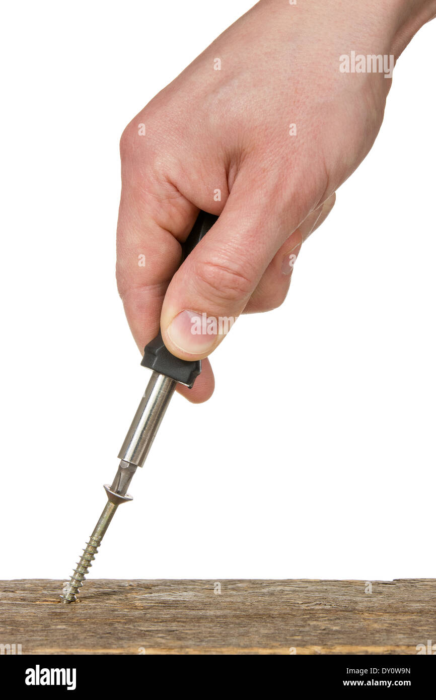 Screwing a screw into the wood. Isolated on white background Stock
