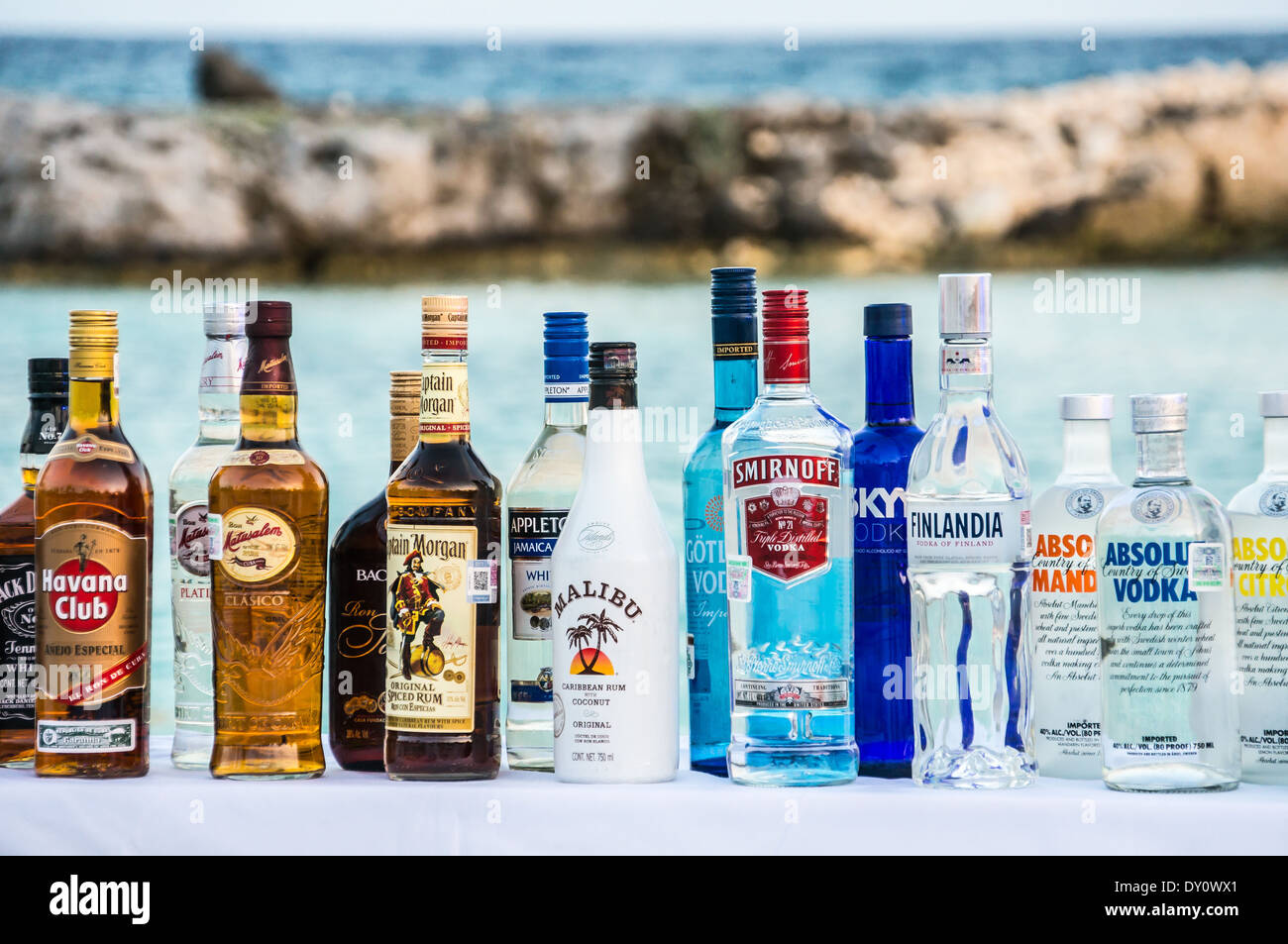 alcohol bottles photography
