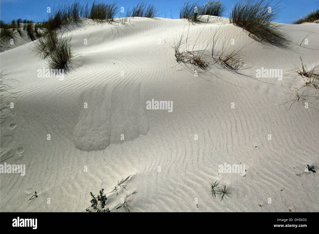Sand dunes Porto Pino Sardinia Stock Photo