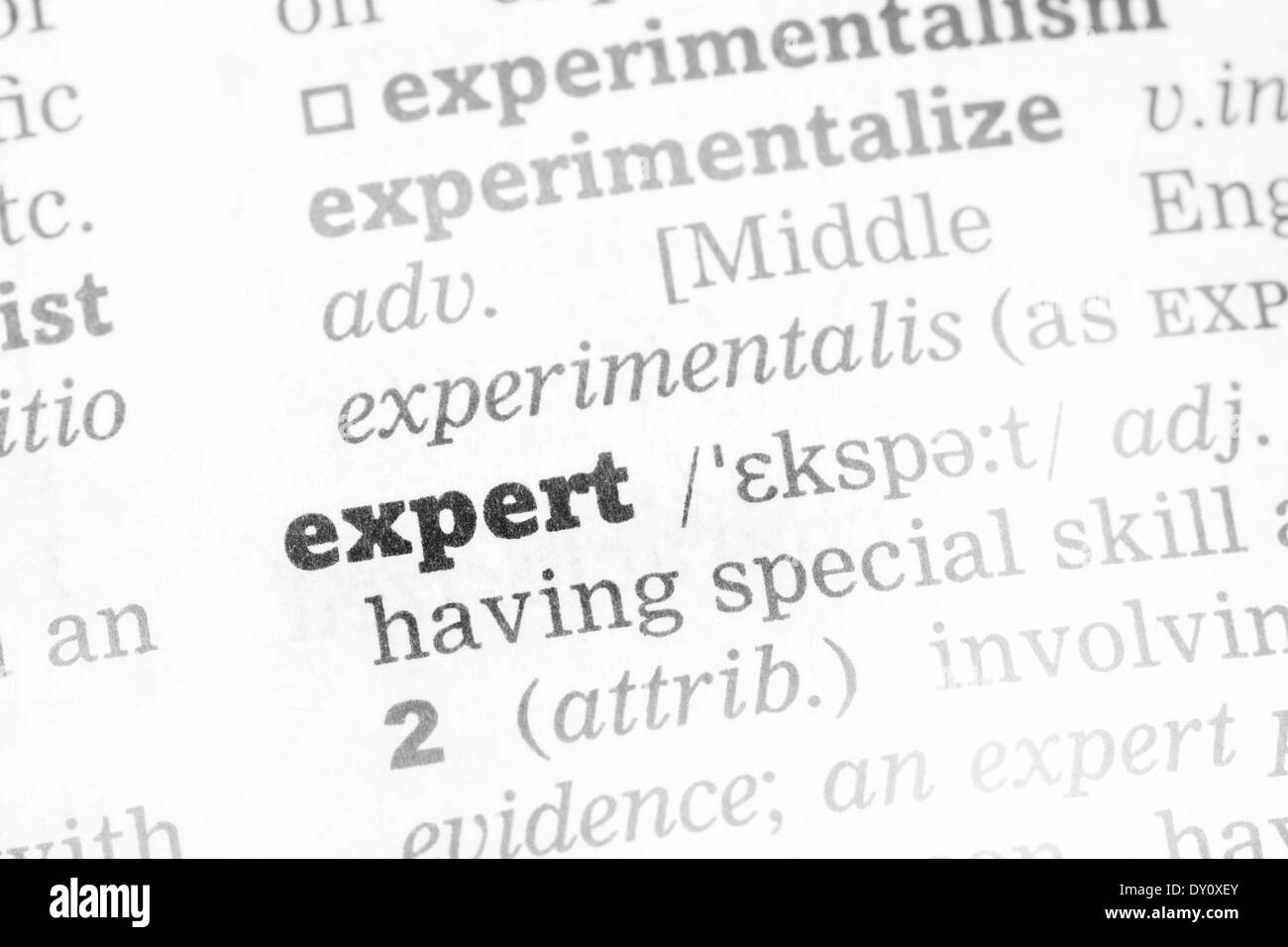 Expert Dictionary Definition single word with soft focus Stock Photo