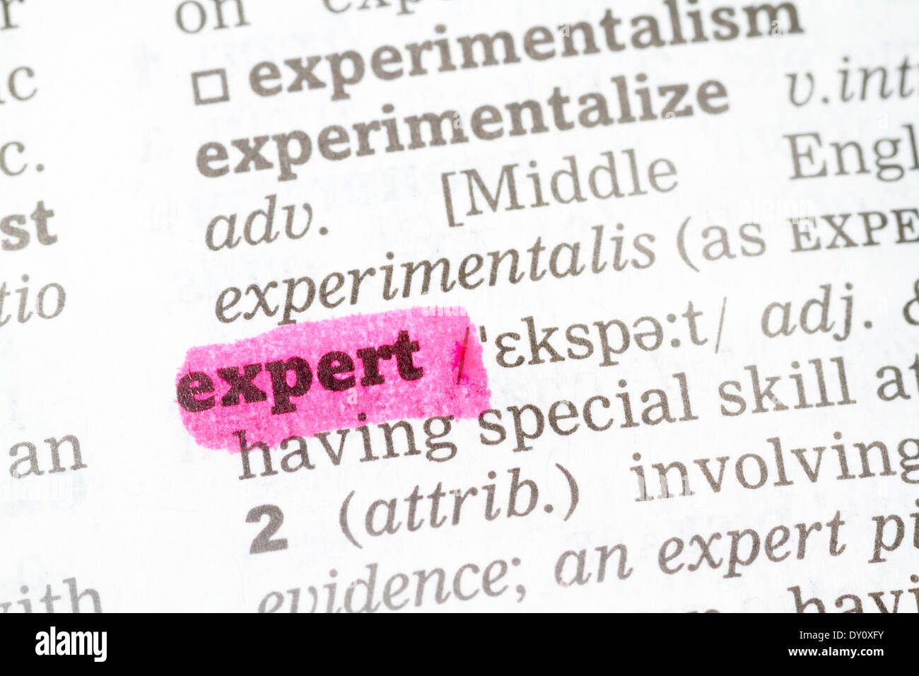 Expert Dictionary Definition single word with soft focus Stock Photo