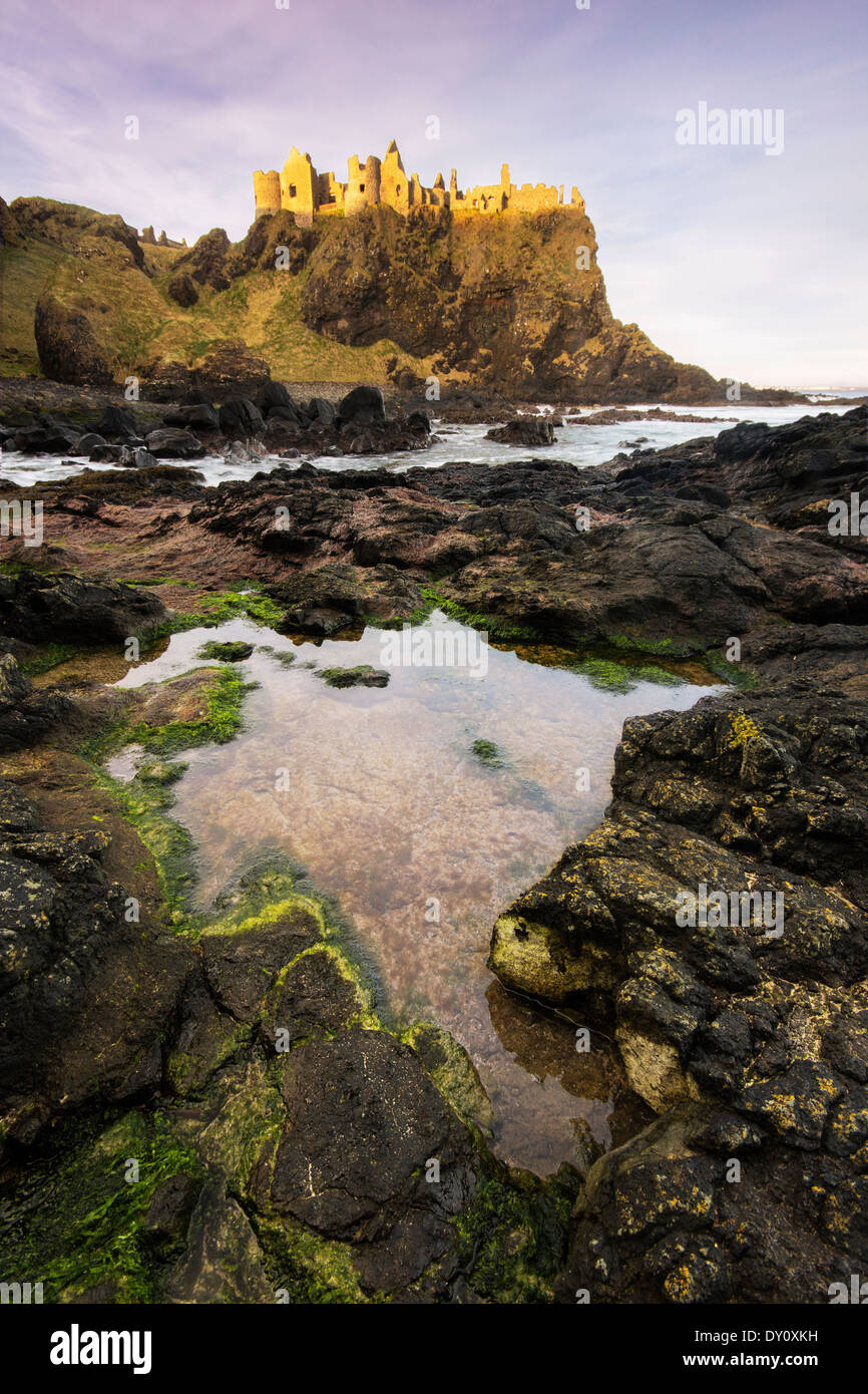 Dunluce Castle in beautiful early morning light, Northern Ireland. Stock Photo
