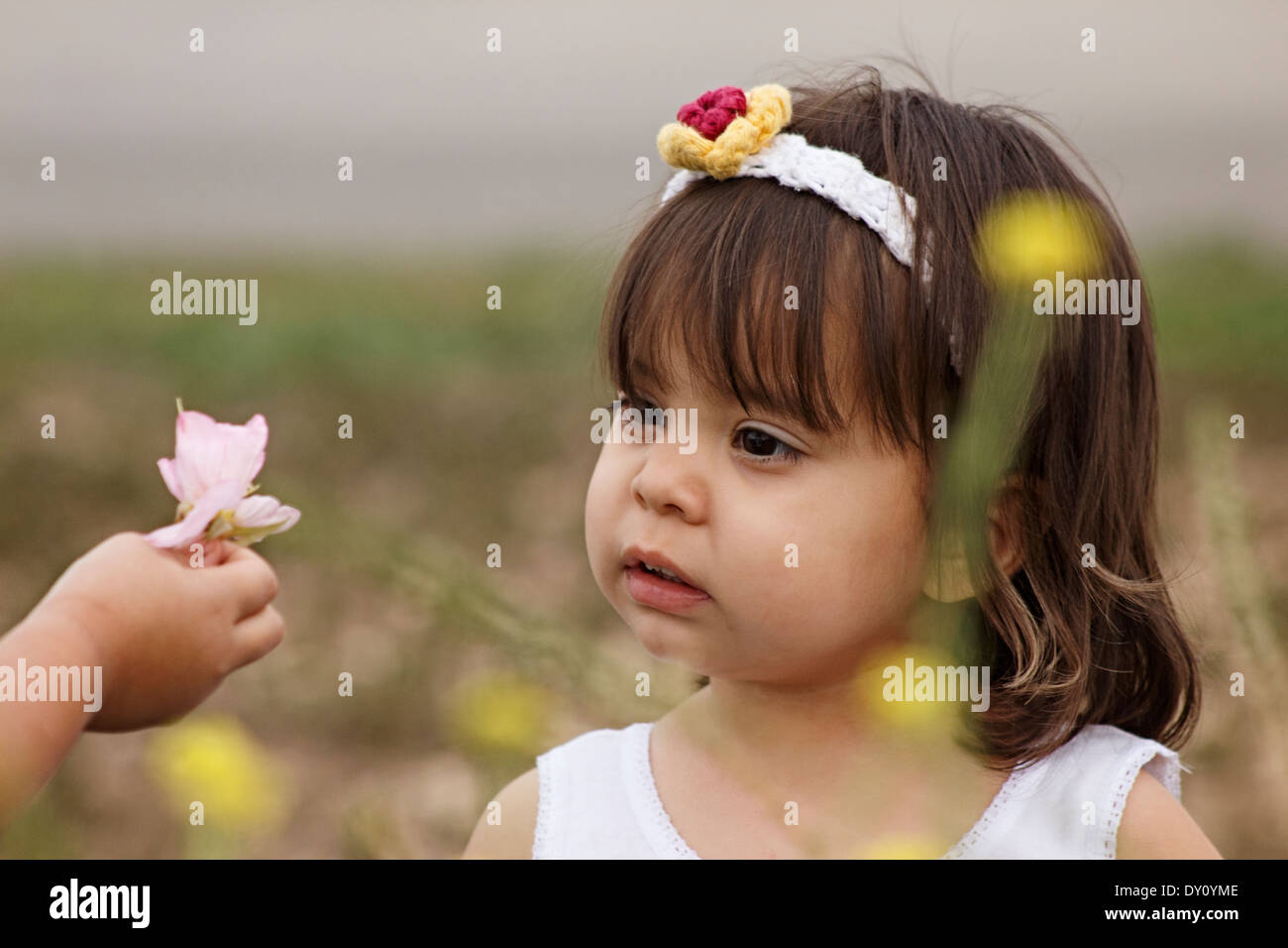 My youngest daughter being handed a wildflower from her sister. Stock Photo